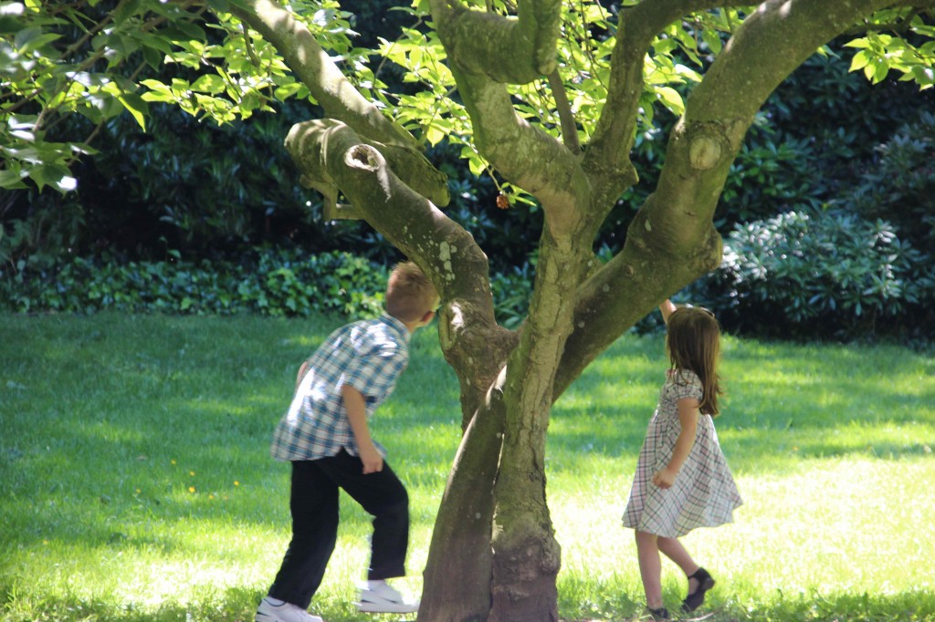 kidstree Hamori kids homeschooling
