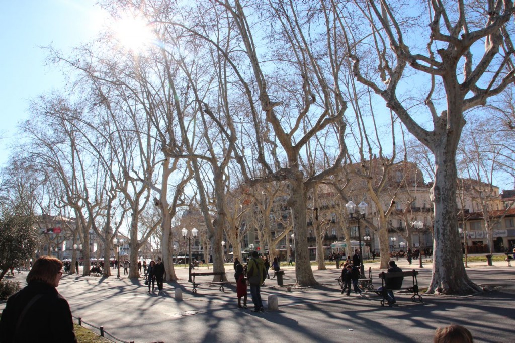 Beautiful Winter Day