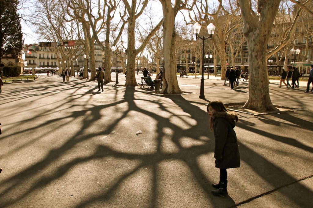 Park 