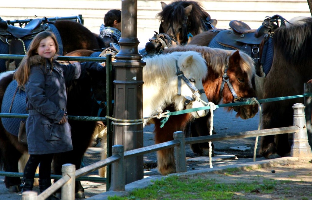 Ange and ponies