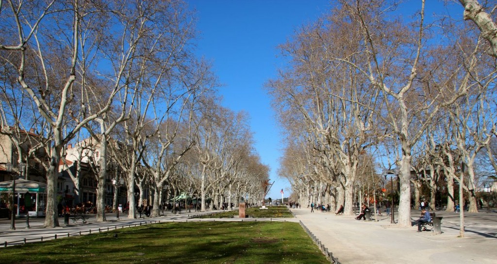 University Promenade