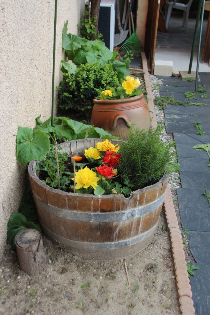 keep plants contained