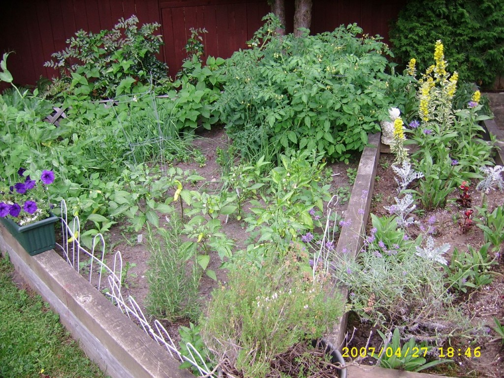 BC Herb Garden
