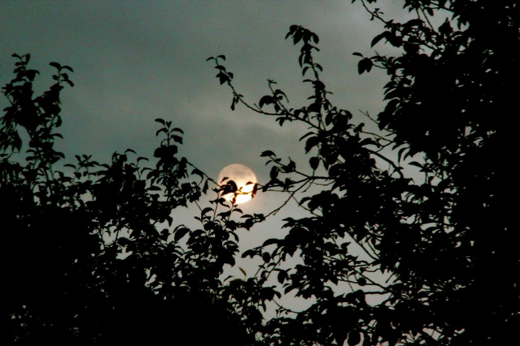 Full moon Friday Summer solstice
