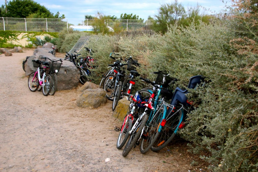 cyclists stop on the shore for a nap or play before heading to their destination
