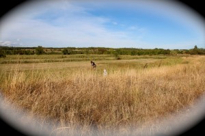 etang Capestang