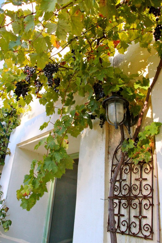 Juliet & Simon's entranceway