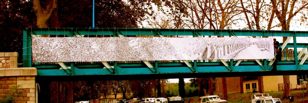 Conservation efforts to save the Plane Trees along the canal du midi