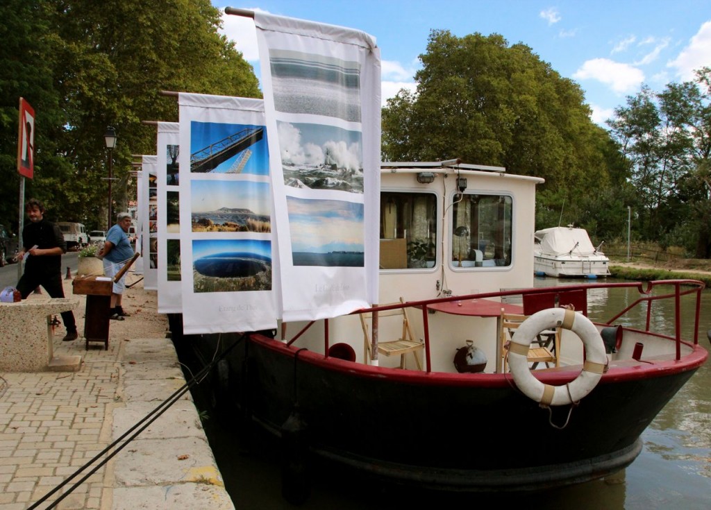 exposition for the conservation of our plane trees