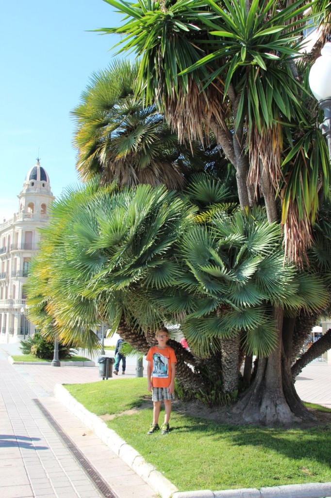 Daniel takes a photo on the rambla in Tarragona