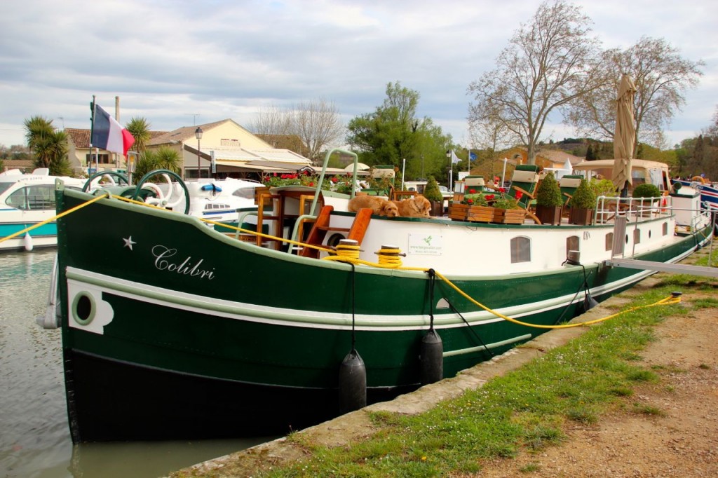 Calibri Canal du Midi