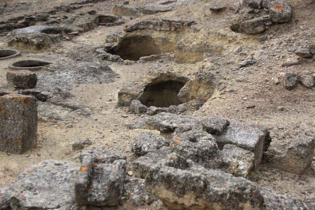 Oppidum NIssan