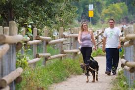 dog park