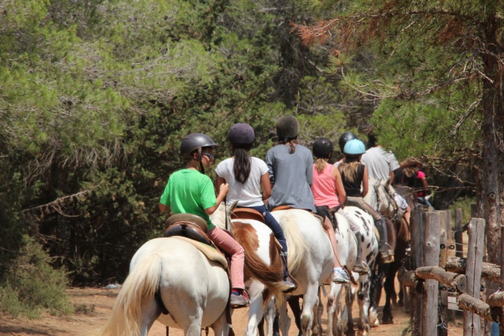 summer Horseback riding
