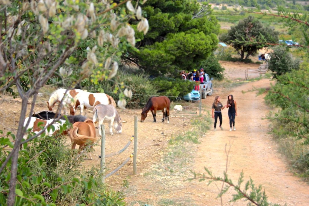 Children love hanging out at La Fount Del Bosc