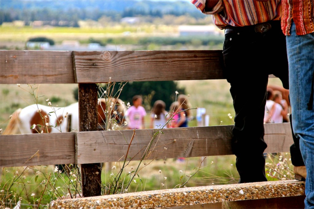 Horse Ranch Languedoc Ranch - La Fount Del Bosc
