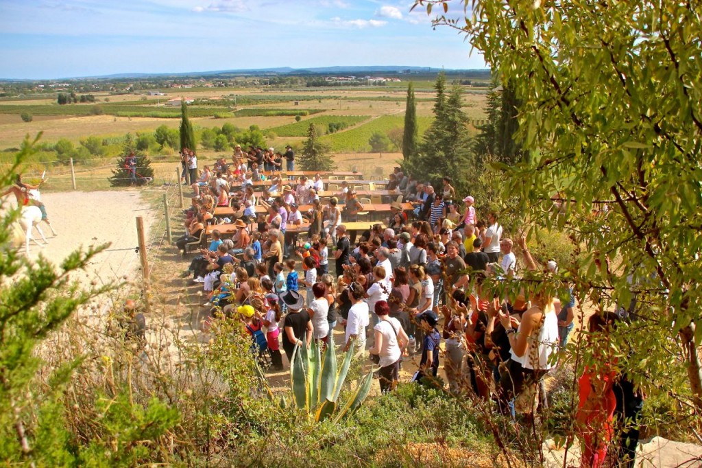 Party at La Fount Del Bosc