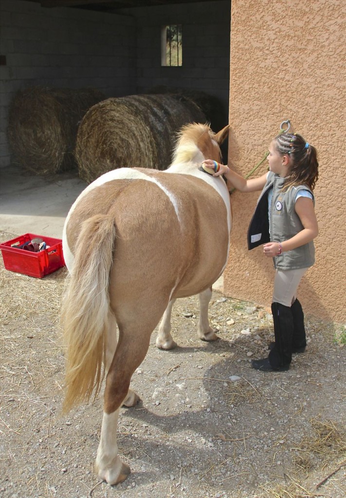 Children love La Fount del Bosc