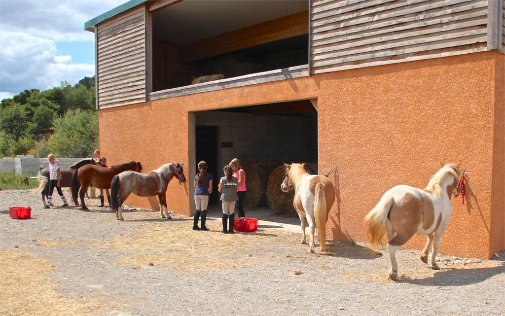 Angelina spends her first days with the ponies
