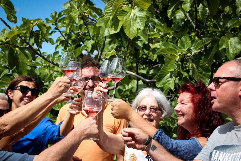 Southern France wine tours
