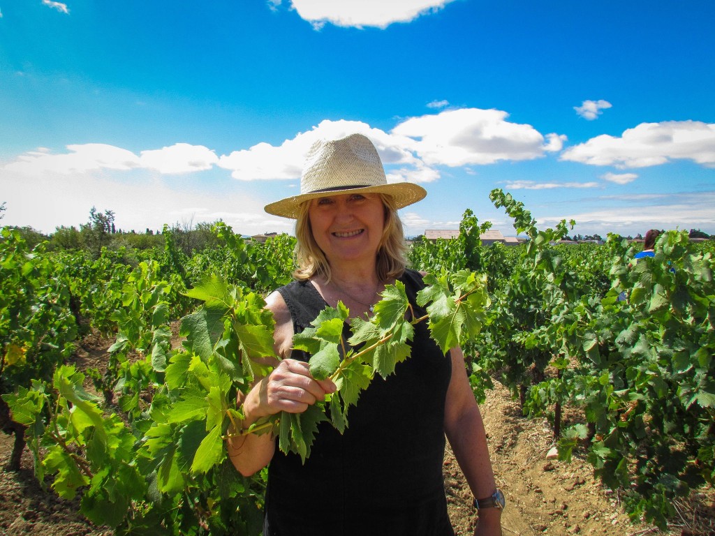 vin en vacance wine tours
