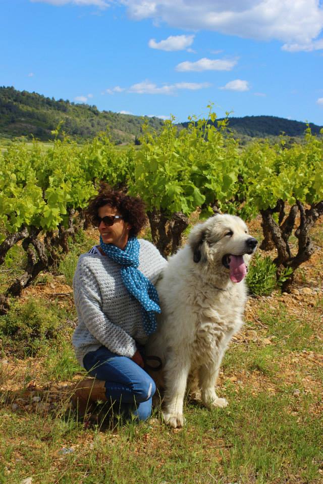 Bob and Honor