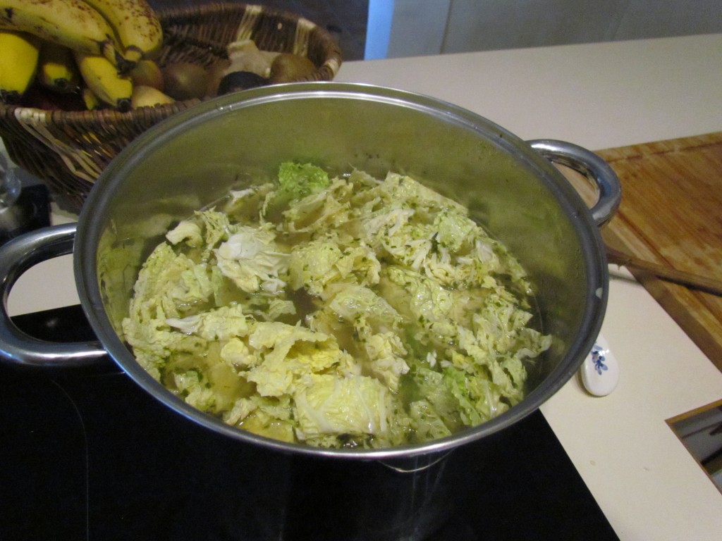 duck confit soup with cabbage