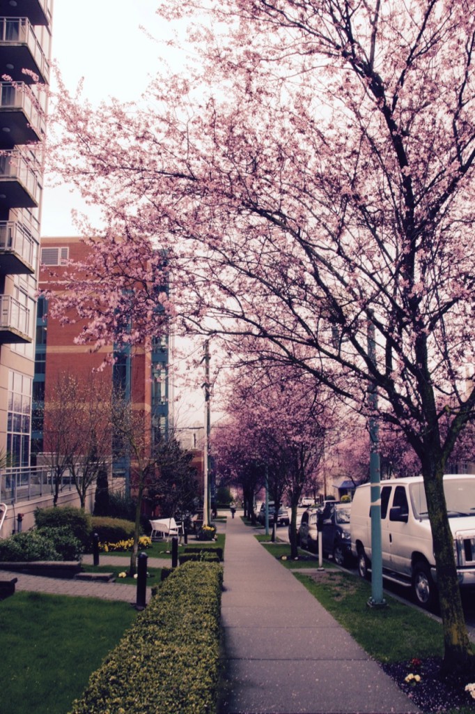 beautiful BC