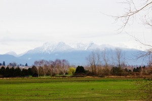 Mountains towards langley 