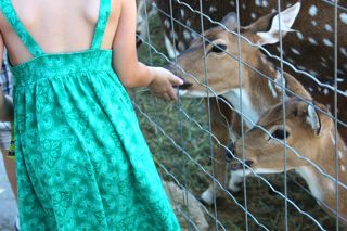 ferme sud de france