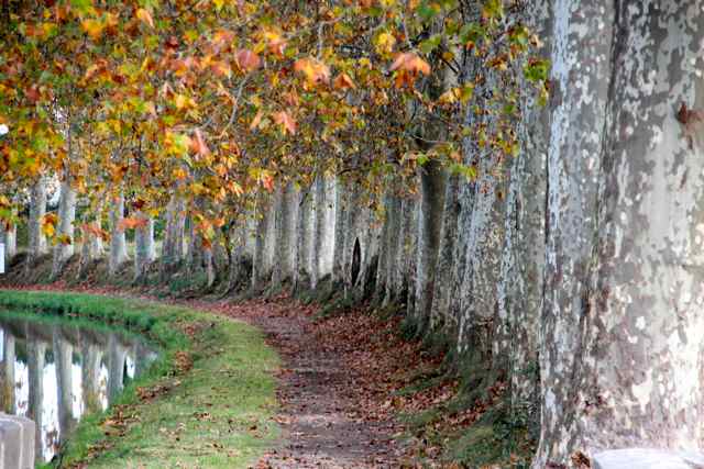 Why Capestang is Our Little French Village