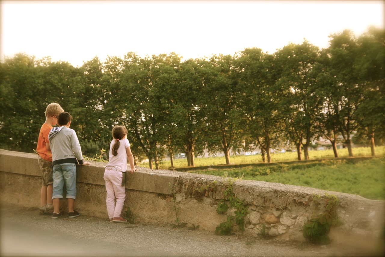 languedoc summer