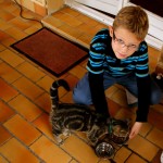 cat memories
