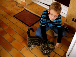 cat memories