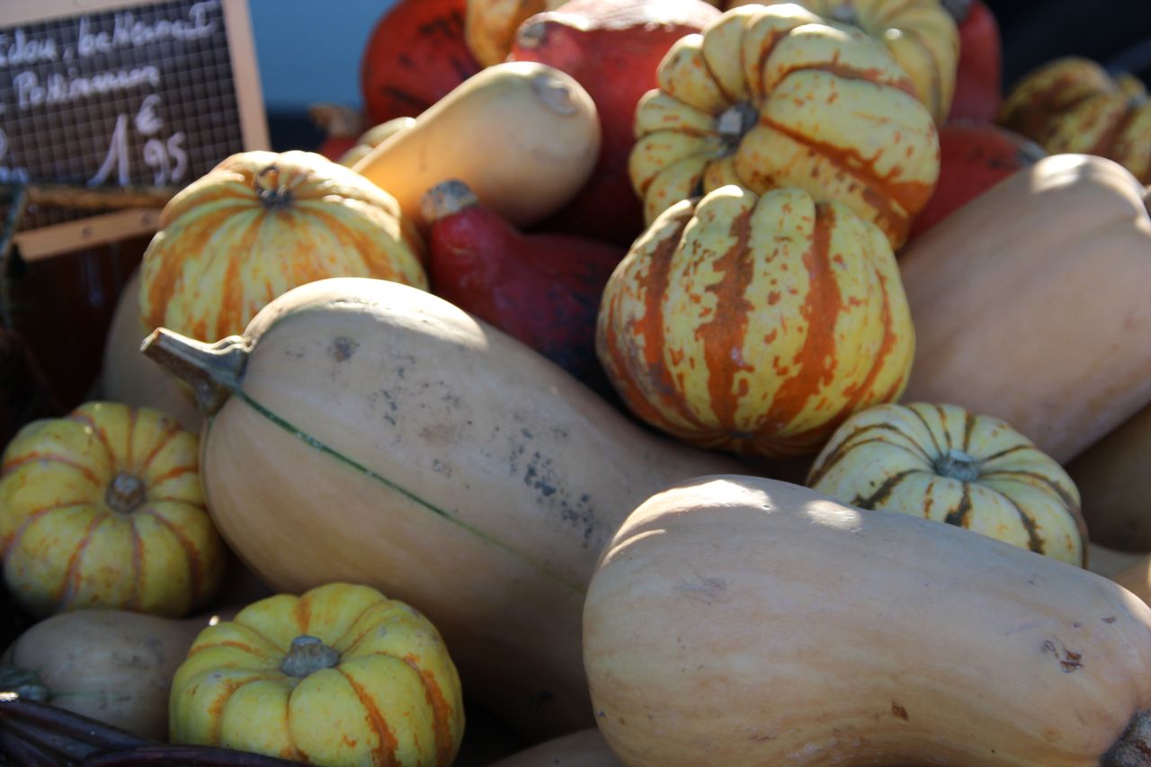 harvest pumpkins autumn