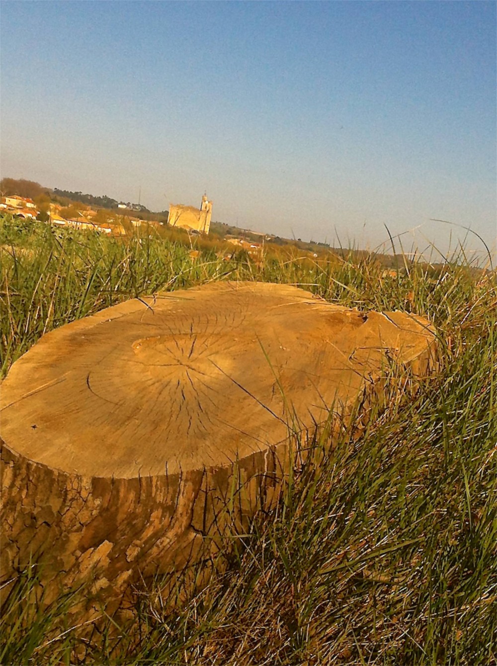 new views along the canal du midi after the trees come tumbling down