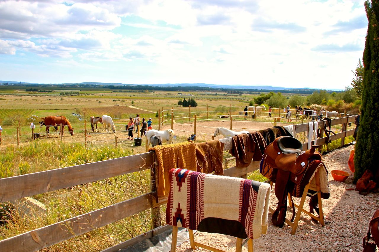 Typical ranch day -La Fount Del Bosc - Argeliers