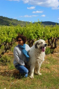 Bob and Honor