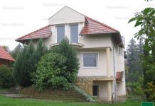 Garden buying a house in Budapest