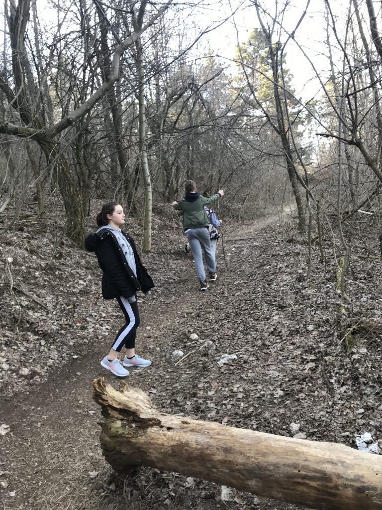 Coronavirus quarantine Budapest